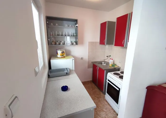 Pet friendly Apartman Milica Budva