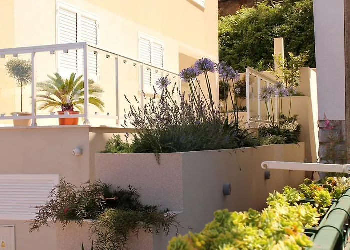 Apartments Lavanda Budva