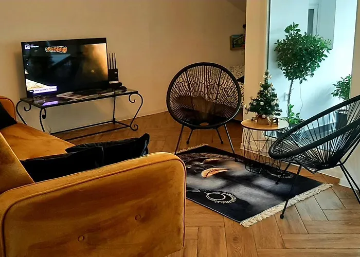Ric Apartment Budua che accetta animali