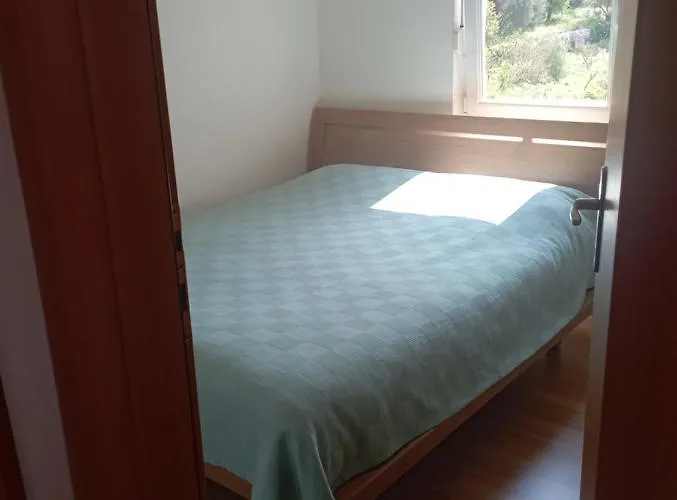 Apartmani Aileen Petrovac acceptant les animaux