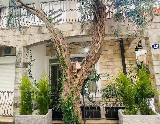 Apartment Oliva1 Petrovac na moru