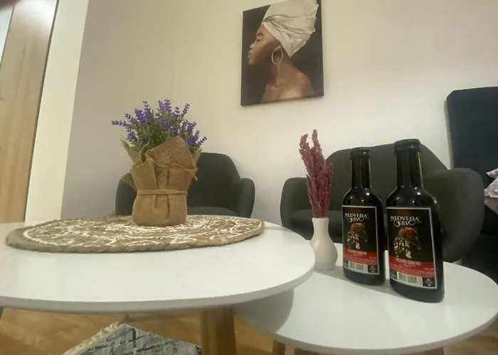 Apartman Leone Apartment Podgorica