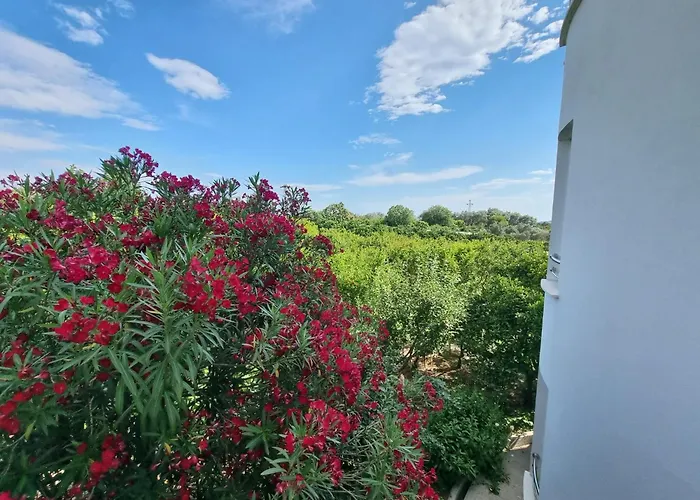Le Domaine Green Paradise Ulcinj
