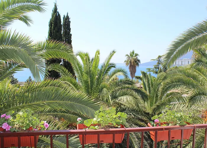 Apartmani I Sobe Goca Herceg Novi