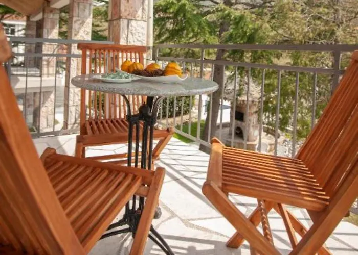 Pet friendly Villa D Apartments Budva