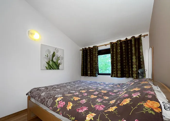 Perfect Beachtime Petrovac acceptant les animaux