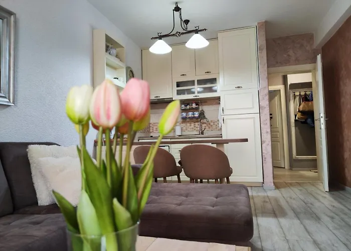 Apartment Tina III Petrovac acceptant les animaux
