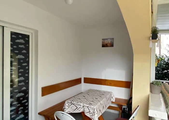 Apartment Tanya Petrovac