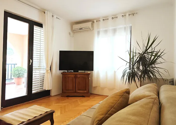 Apartment Golub Budua che accetta animali