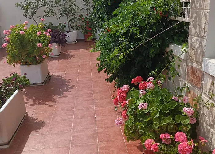 Vila Vukotic Petrovac