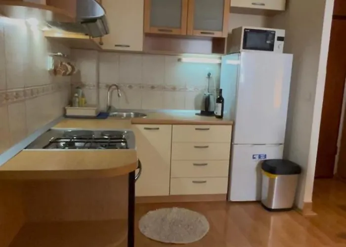 Mario Apartment Budua che accetta animali