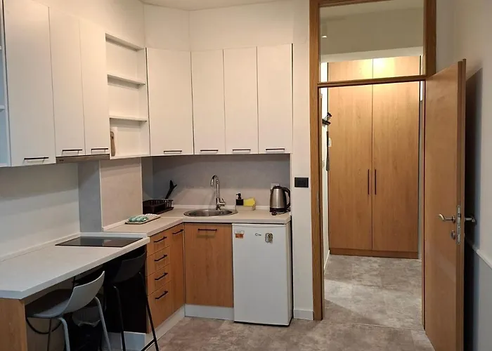 Pet friendly Comfortable Studio For 2 - Ljubovic Hill View Podgorica