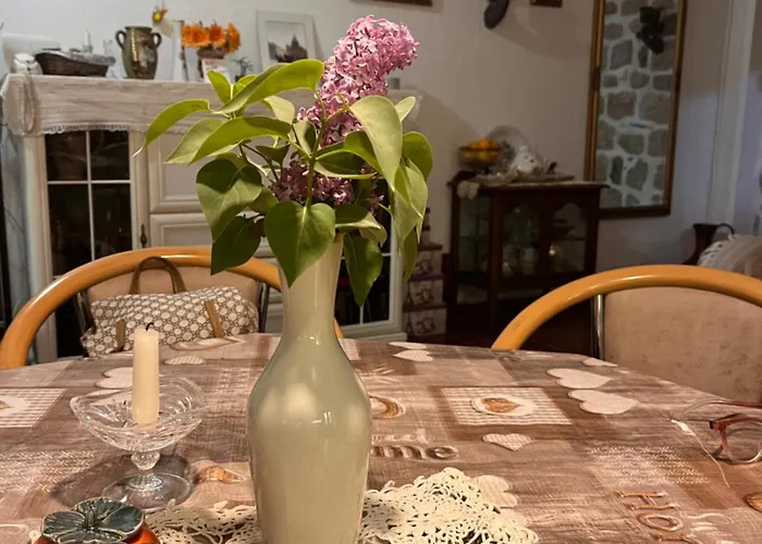 Pet friendly Be Happy In Perast Apartment