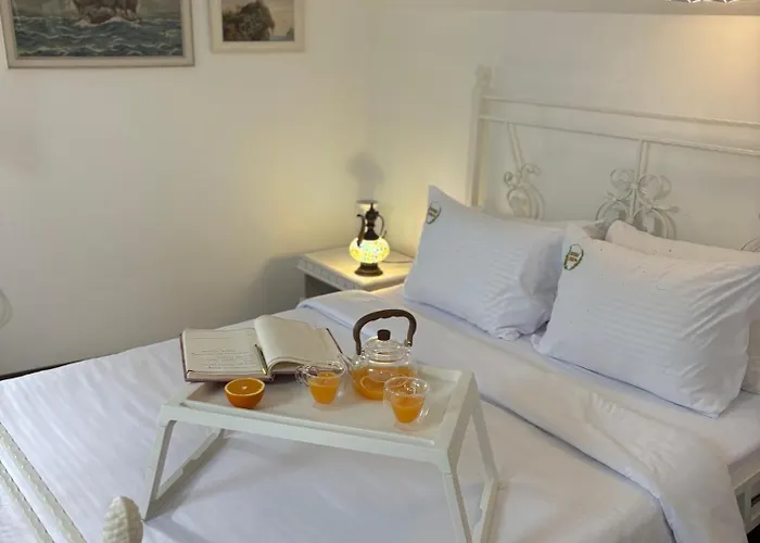 Huisdiervriedelijke Apartman Senka Budva