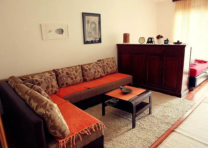 Studio Apartment Nika Andusa Petrovac