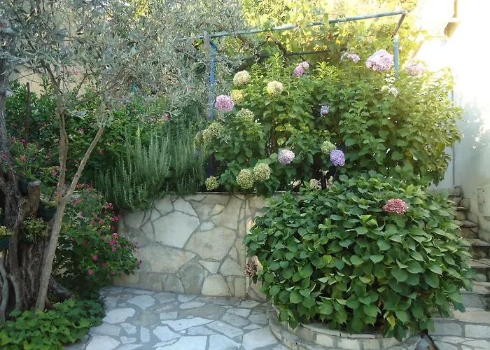 Apartments Villa Petranovic Budva acceptant les animaux