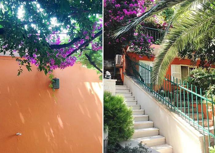 Guest House Ambient Budua che accetta animali