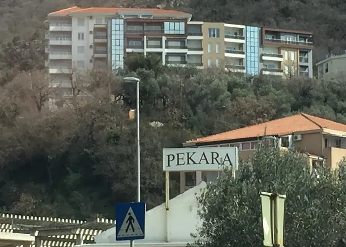 Apartment Rubin Budva acceptant les animaux