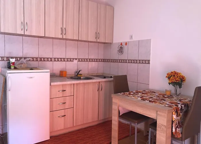 Apartment D'S Budva acceptant les animaux