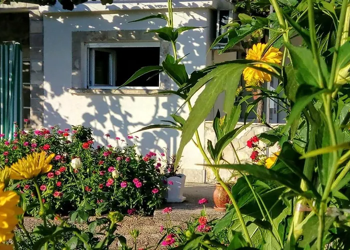 Apartmani Bosco Tivat