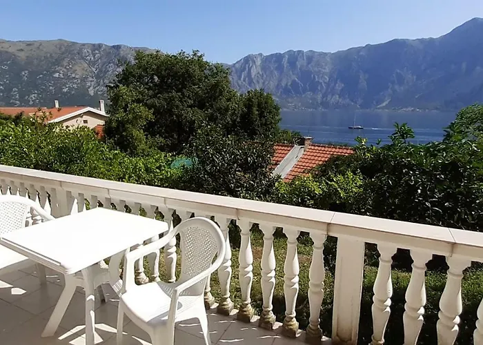 Pet friendly Apartman Tesovic Kotor