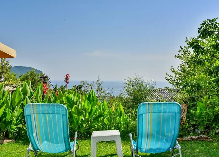 Pataki Guesthouse Petrovac acceptant les animaux