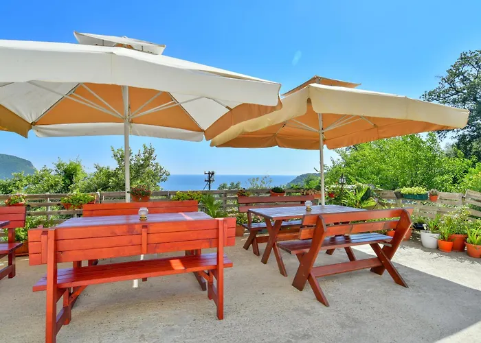 Pataki Studios Petrovac