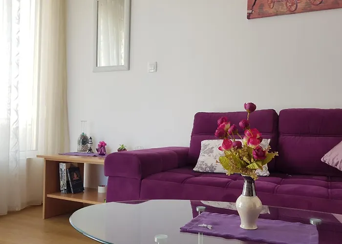 Huisdiervriedelijke Budva Sea View Apartment 1