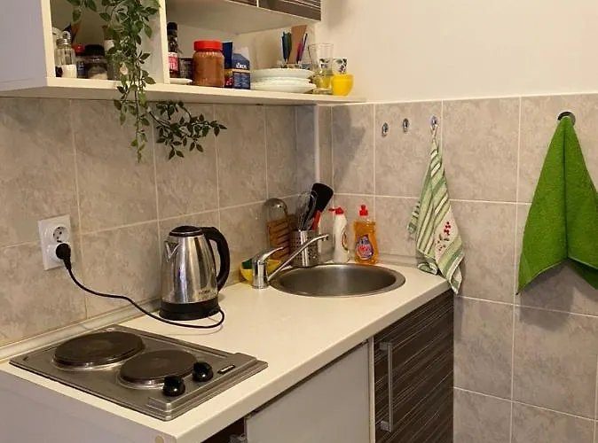 Mint Apartment Studio Petrovac