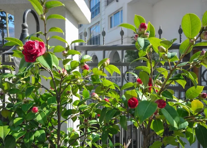 Oasis Seaside Rooms Budua