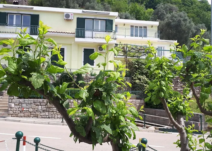 Apartments Simo Petrovac acceptant les animaux