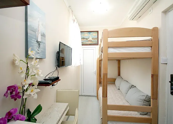 Appartamento Studio Apartman Sveti Stefan che accetta animali
